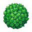 bush