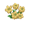 flowers yellow