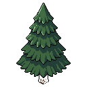 tree pine