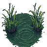 bog pool