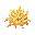 dead grass
