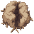 earth crack