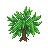 fern