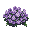 heather