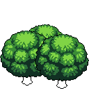 oak cluster