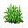 reeds