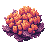 reef